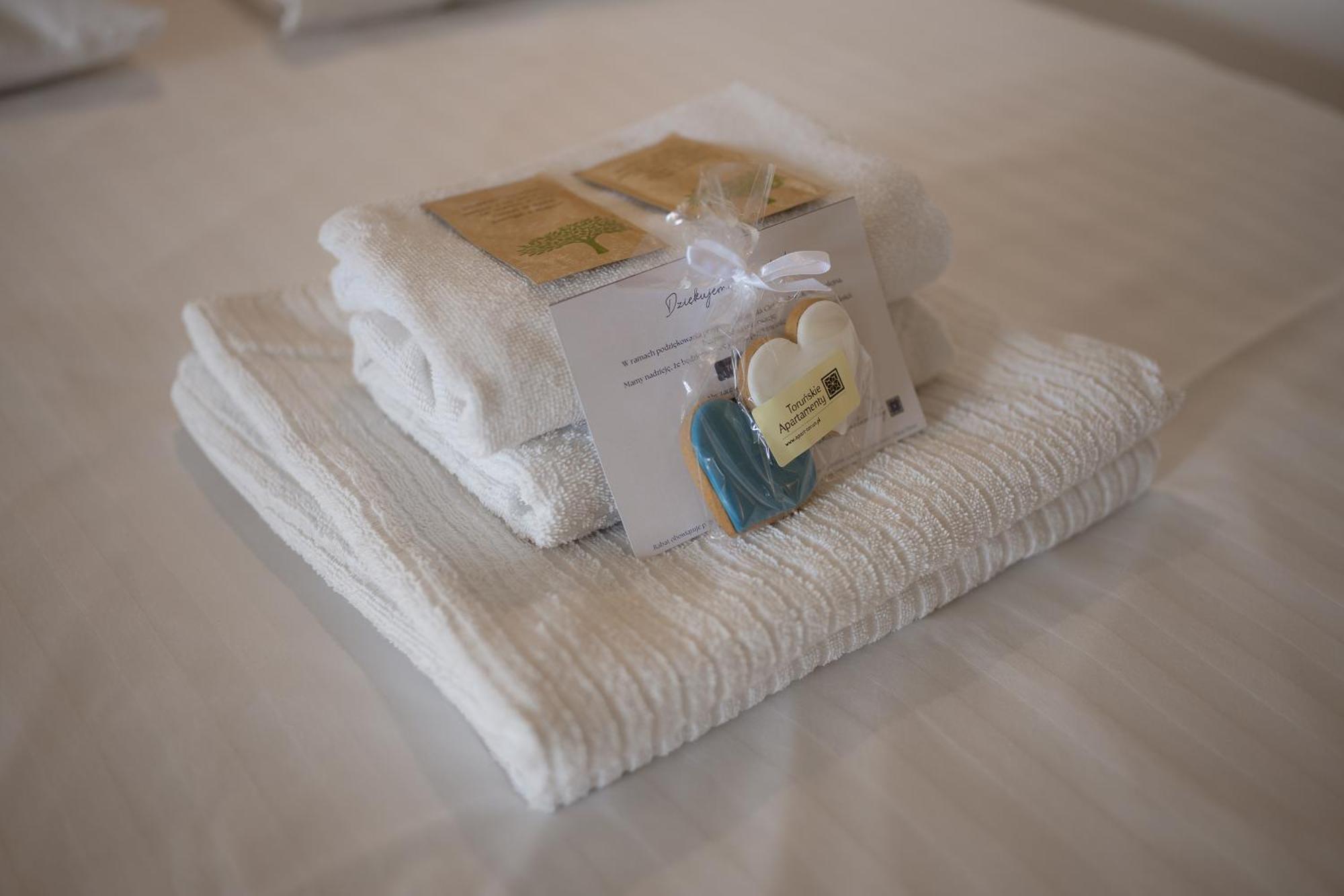 Apartament Rustykalny Apartament Stary Toruń Zewnętrze zdjęcie